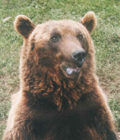 Ours Ours